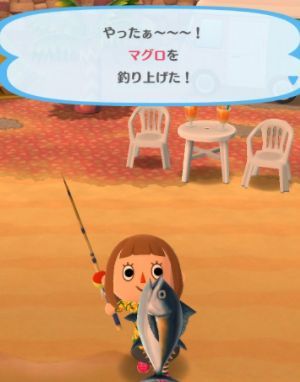 ポケ森 マグロ釣れて喜んでる奴ｗ それ使い道ないぞｗｗｗｗｗ どうぶつの森まとめ速報